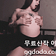 https://dogjoa83.net/data/file/aveu/thumb-1385793329_5io78DuT_57a51aa44197876935c6a96bf12e287b9b3ad753_80x80.gif