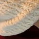 https://dogjoa83.net/data/file/best/thumb-15793707056897_80x80.png