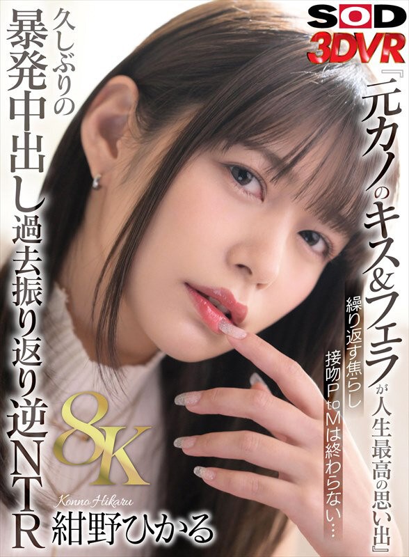 DSVR-1733 이미지 #3