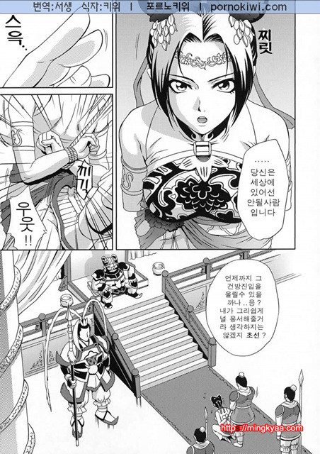 진삼국무쌍 12_by 망가 이미지 #6