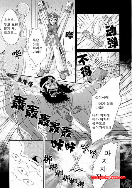 진삼국무쌍 11_by 망가 이미지 #4