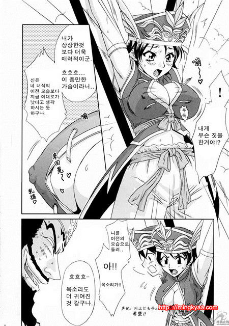 진삼국무쌍 11_by 망가 이미지 #5