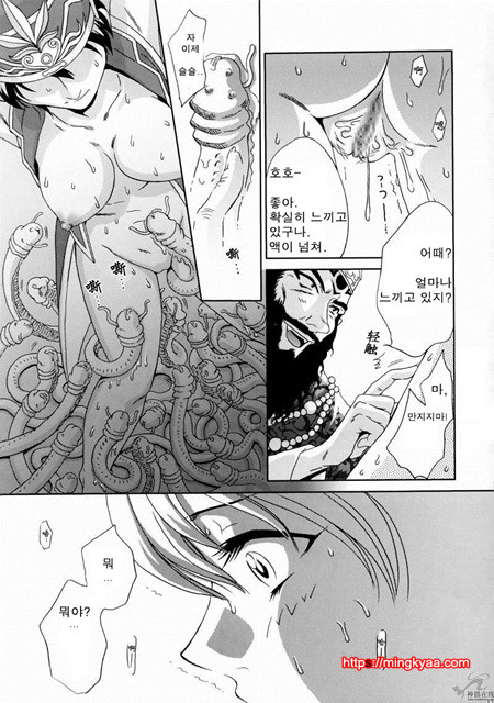진삼국무쌍 11_by 망가 이미지 #10