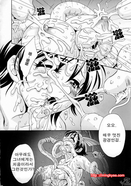 진삼국무쌍 11_by 망가 이미지 #15