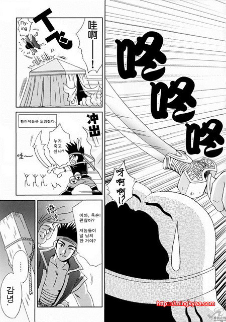 진삼국무쌍 11_by 망가 이미지 #18