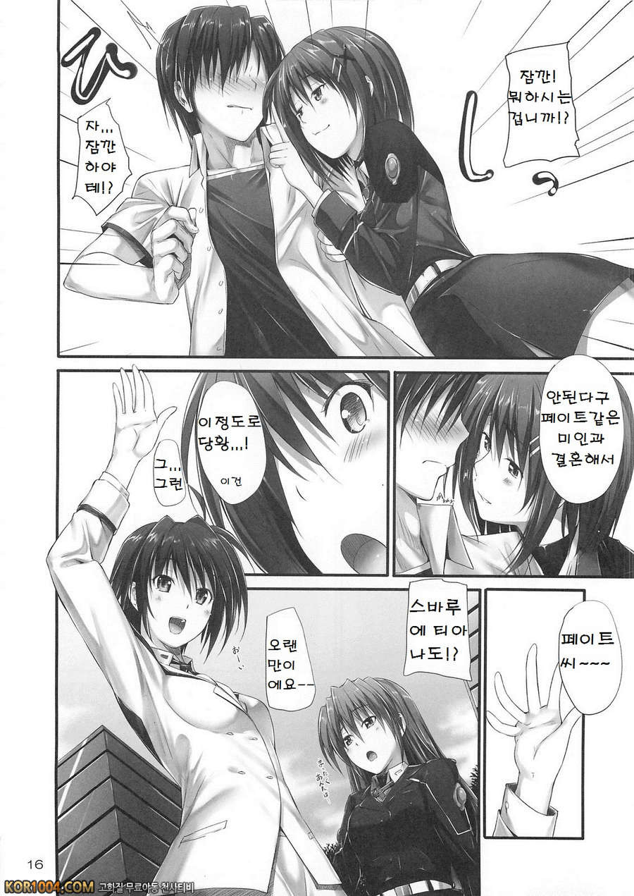 (C82) [IV VA SHIN (Mikuni Mizuki)] Home Sweet Home ～ Fate hen 3_by 망가 이미지 #14