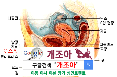 클리토리스 애무 완전정복 2탄 이미지 #7